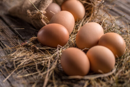 Farm Fresh Eggs vs Store Bought Image